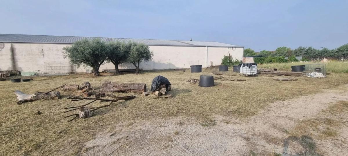 Terreno en venta en Griñón, Madrid photo 3