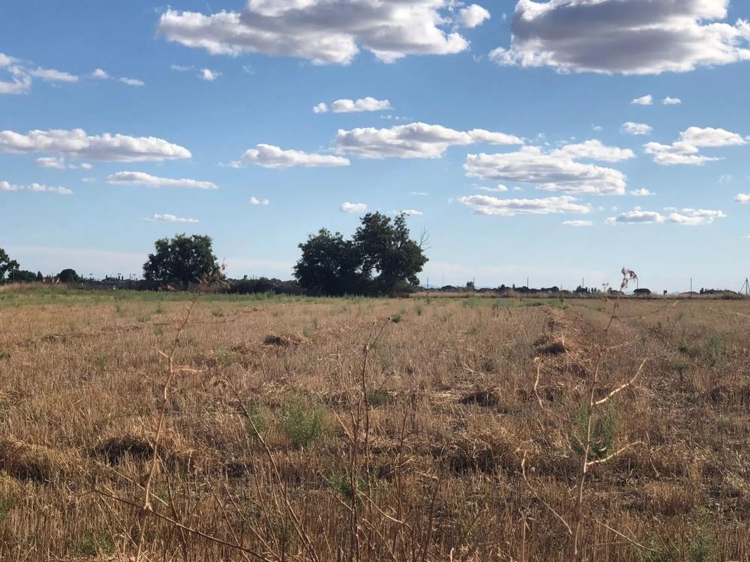 Land for sale in Griñón, Madrid photo 3