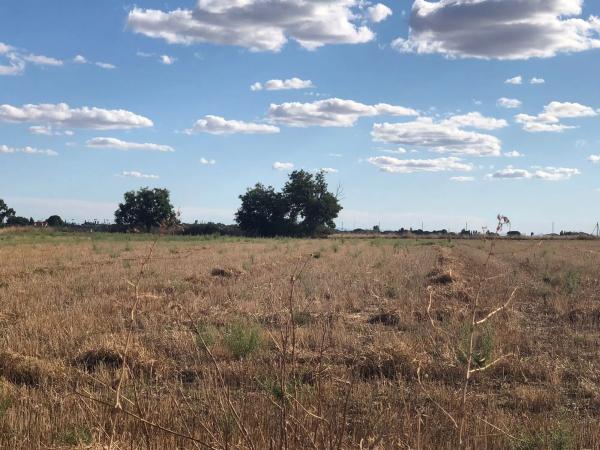 Terreno en vereda del Camino s/n thumbnail 2