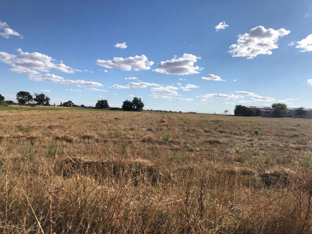Land for sale in Griñón, Madrid photo 4