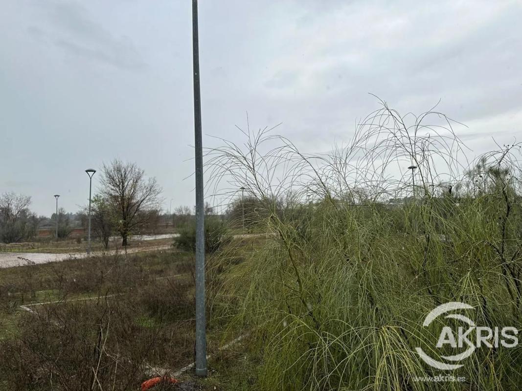 Land for sale in Griñón, Madrid photo 4