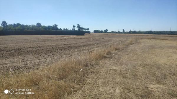 Terreno en tierra leganes, km 3 photo 2