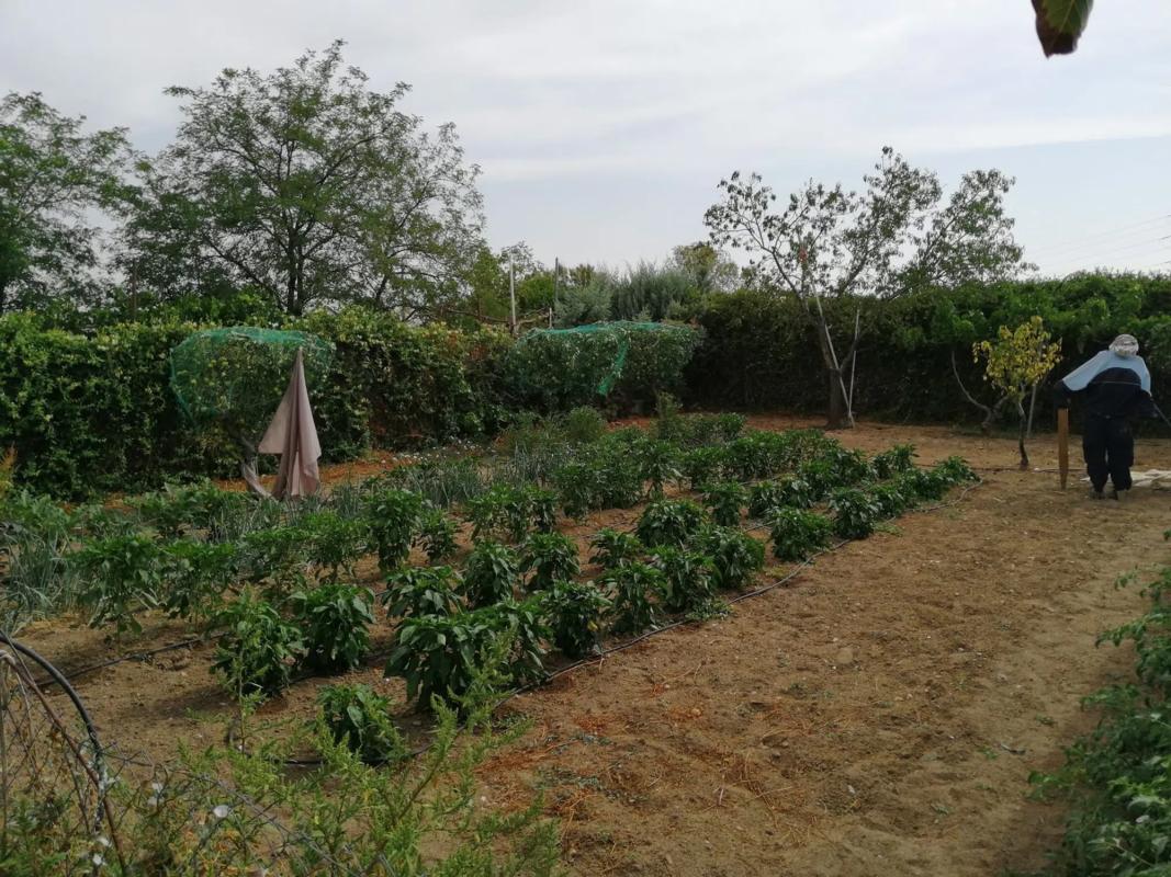 Działka na sprzedaż w Leganés, Madryt photo 5