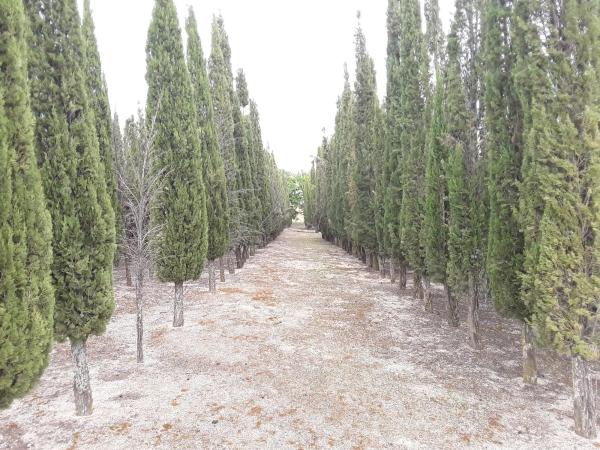 Terreno en camino Batres s/n photo 1