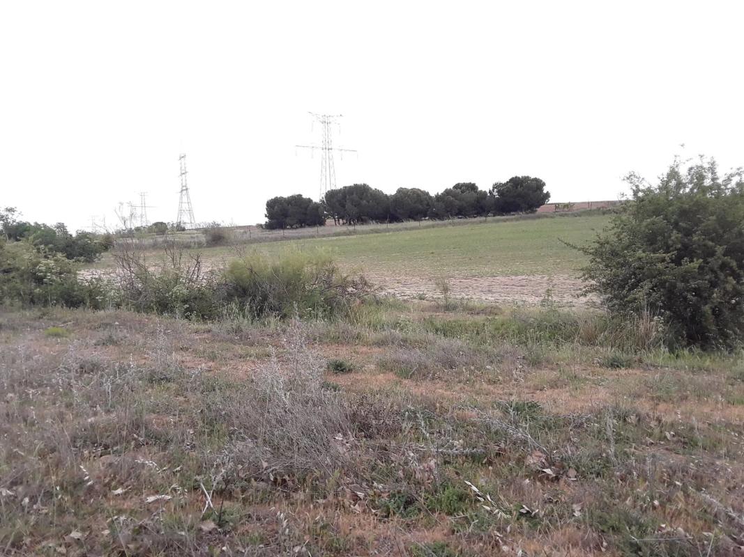 Terreno en venta en Moraleja de Enmedio, Madrid photo 2