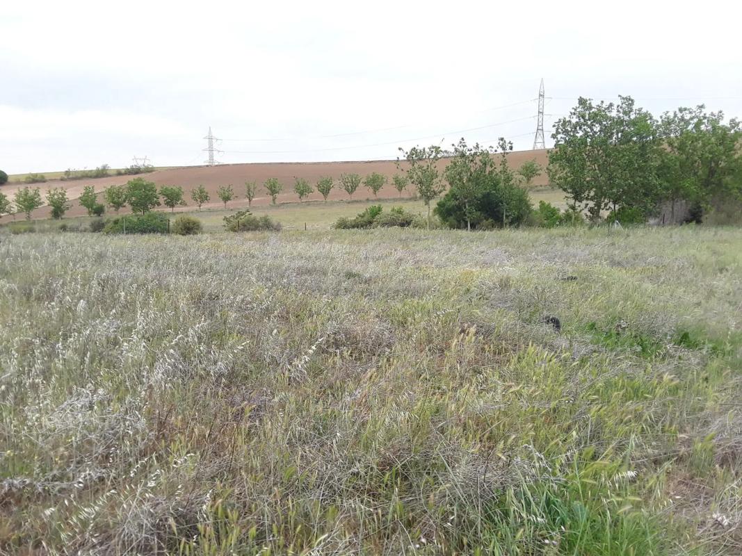 Terreno en venta en Moraleja de Enmedio, Madrid photo 4