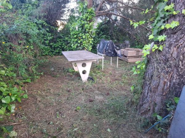 Terreno en calle de los Cedros photo 3