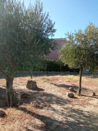 Terreno en calle de Santa Gema, 5 photo 4
