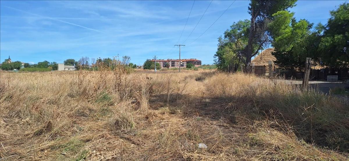 Terreno en venta en Torrejón de Velasco, Madrid photo 4