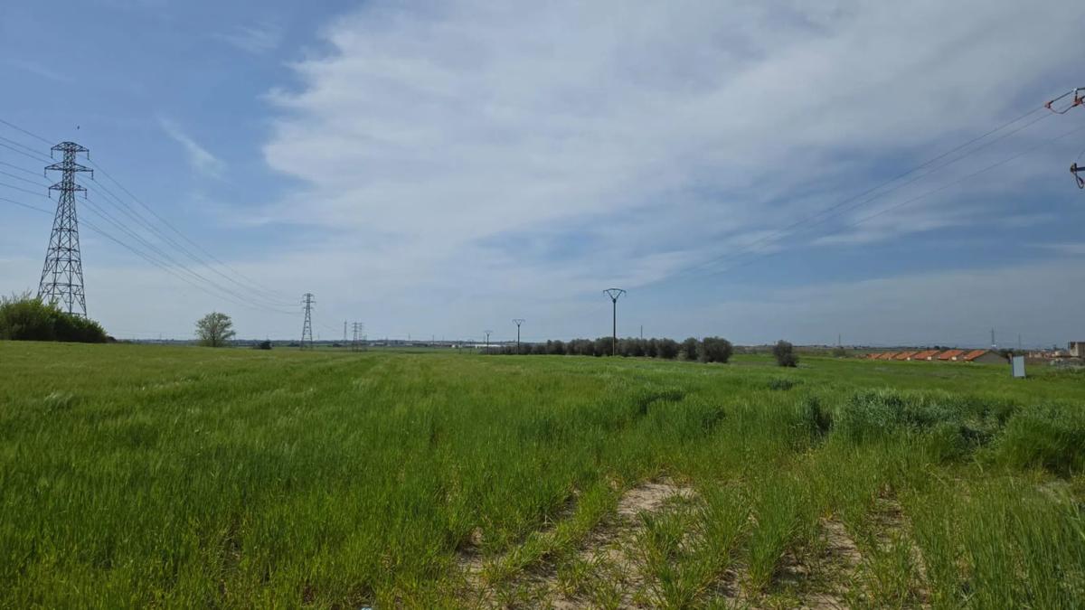 Terreno en venta en Torrejón de Velasco, Madrid photo 2