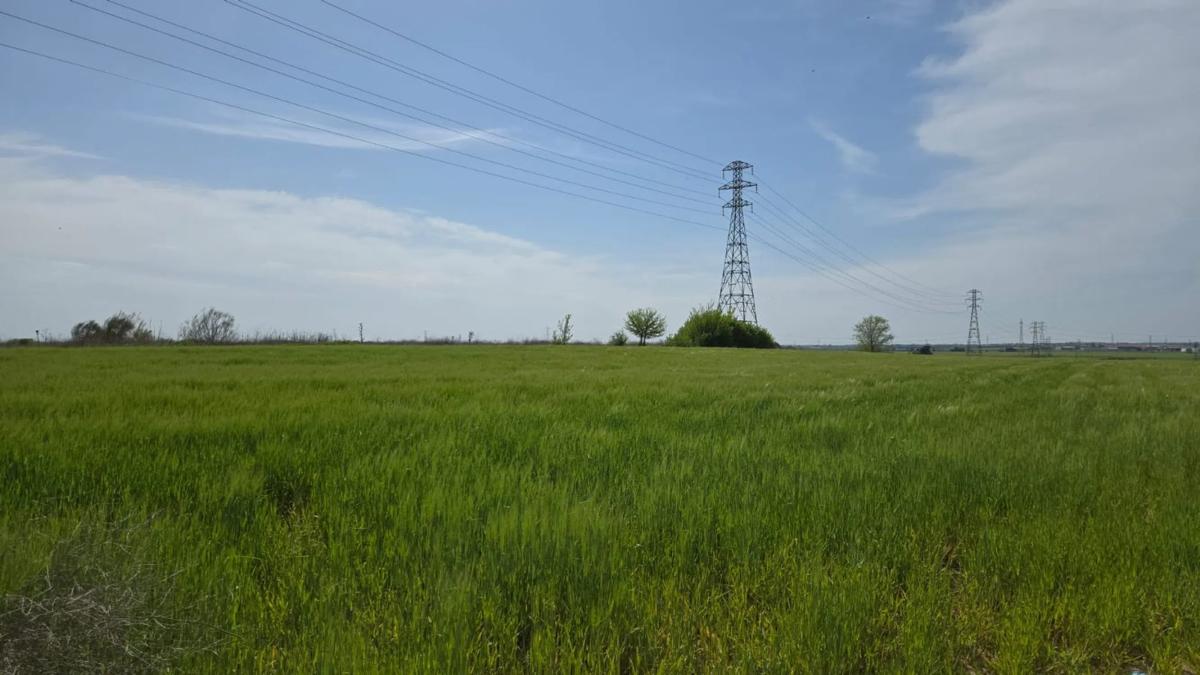 Terreno en venta en Torrejón de Velasco, Madrid photo 4