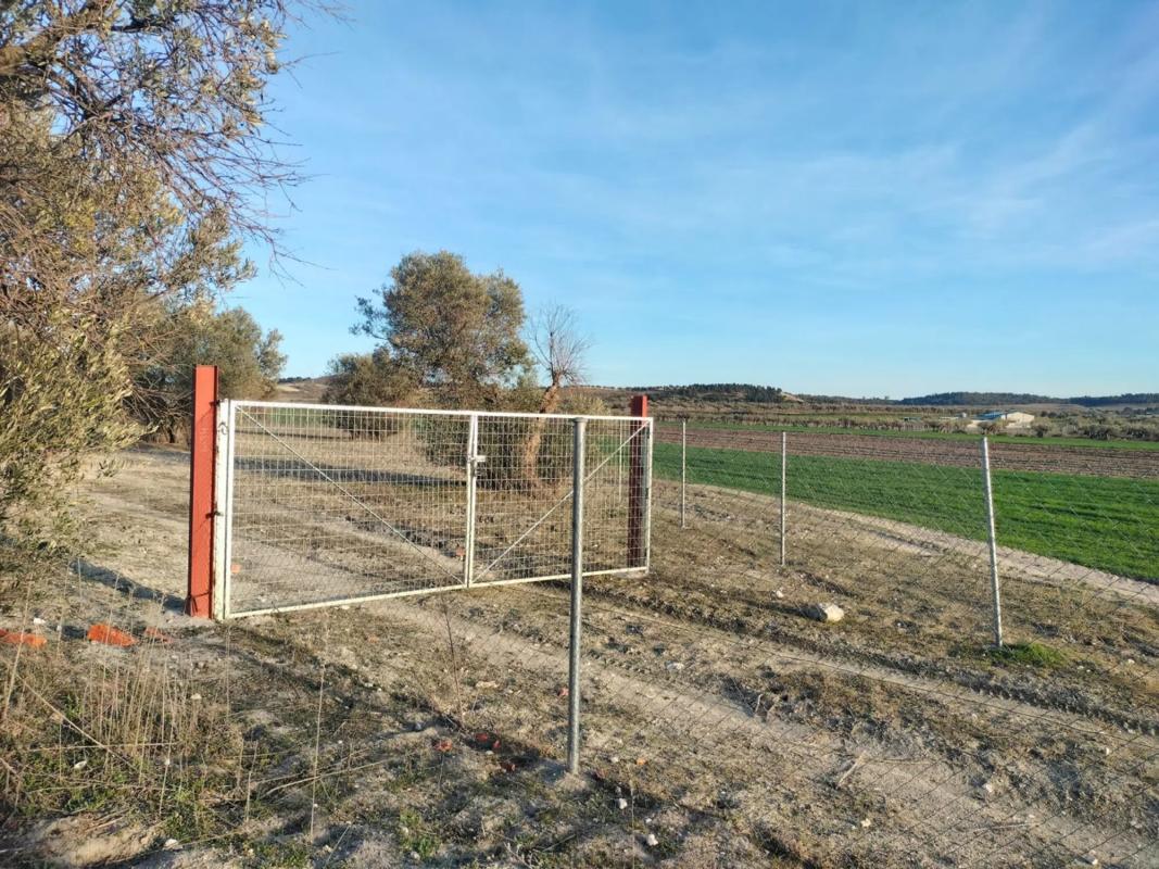 Terreno en venta en Torrejón de Velasco, Madrid photo 1