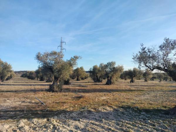 Terreno en Torrejón de Velasco photo 3