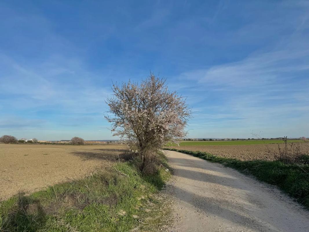 Terreno en venta en Torrejón de Velasco, Madrid photo 3