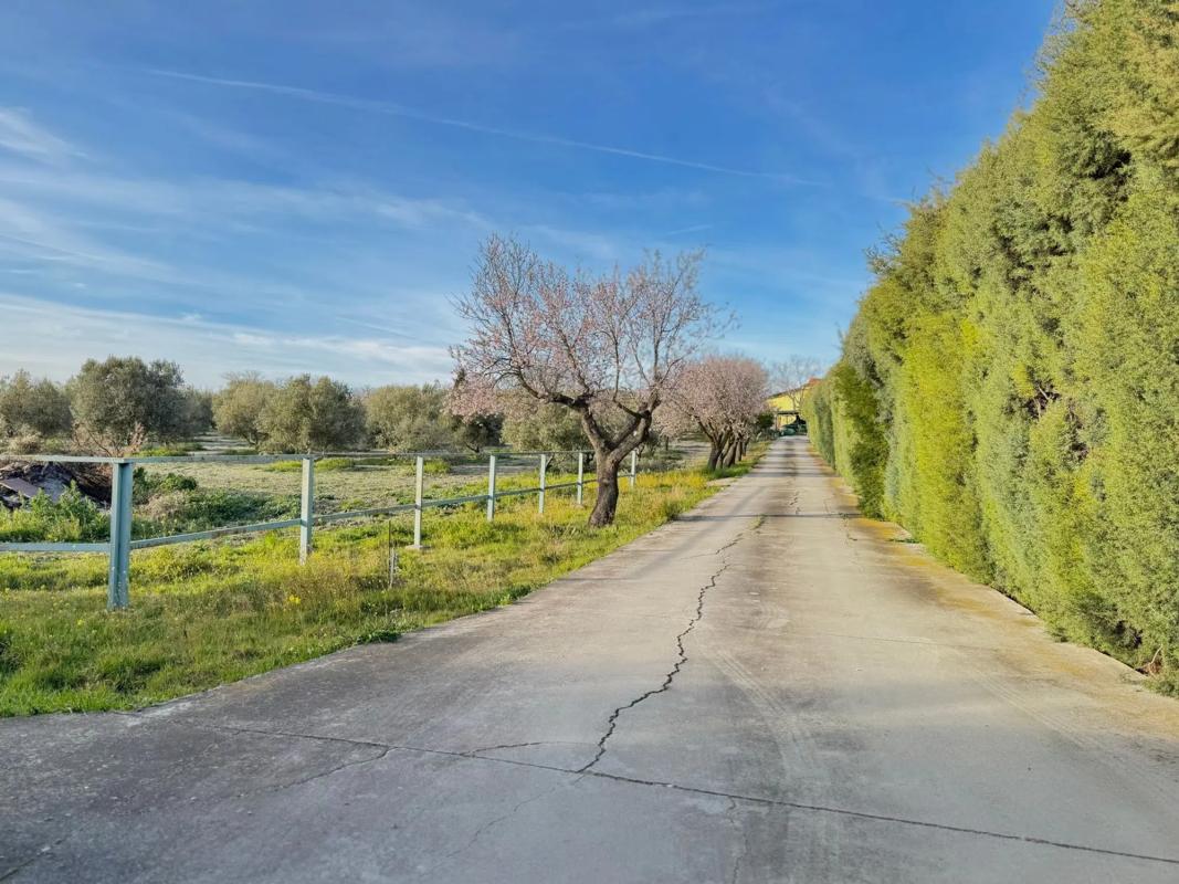 Terreno en venta en Torrejón de Velasco, Madrid photo 4