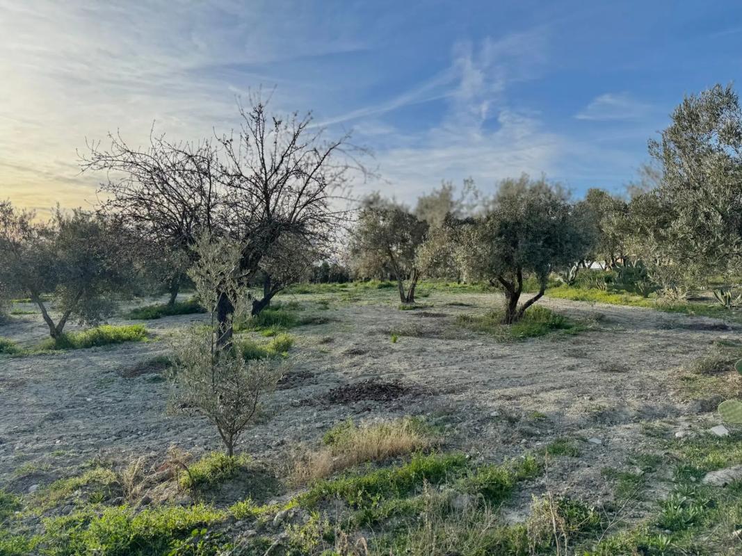 Terreno en venta en Torrejón de Velasco, Madrid photo 5