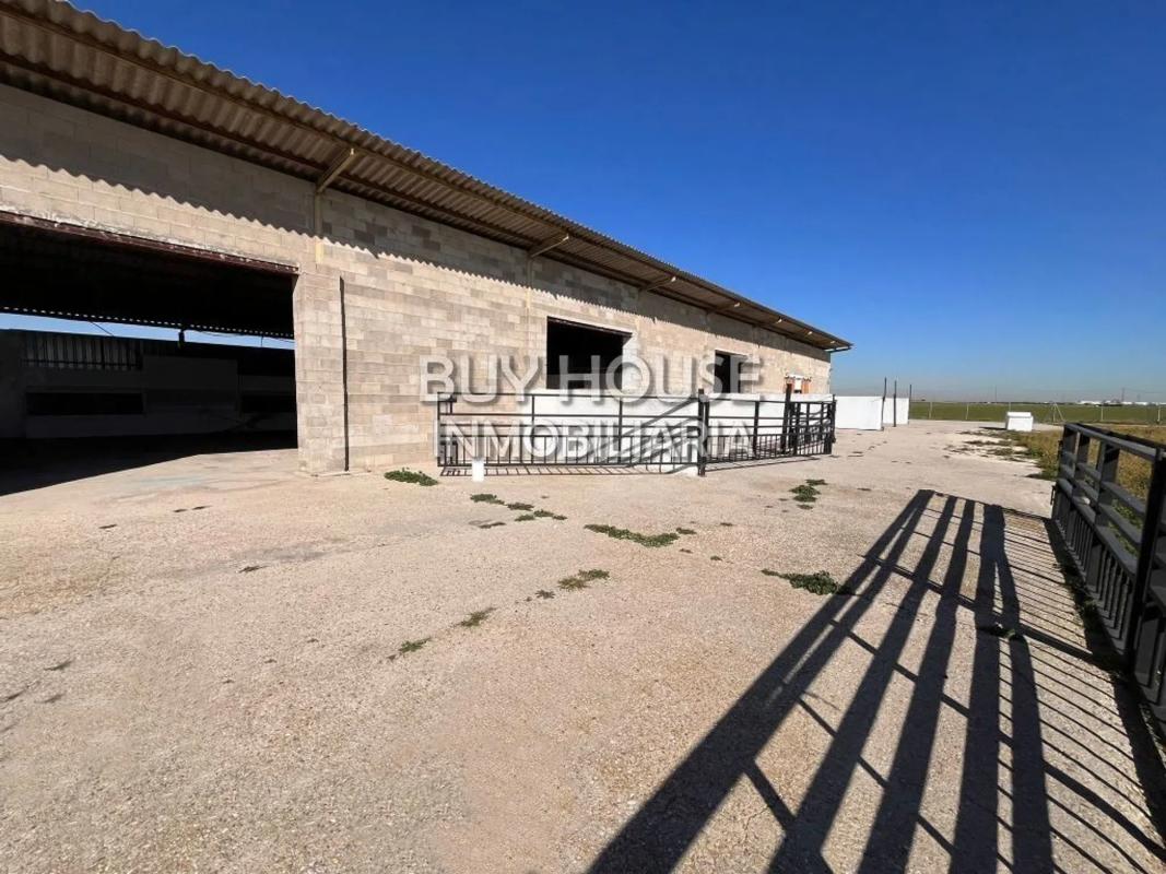 Terreno en venta en Torrejón de Velasco, Madrid photo 2