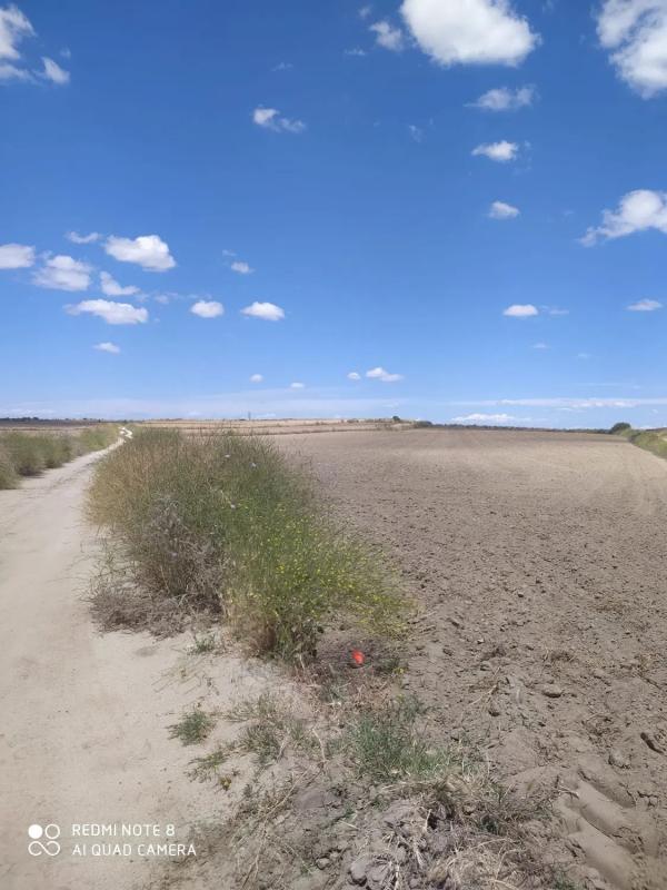 Terreno en venta en Torrejón de Velasco, Madrid photo 1