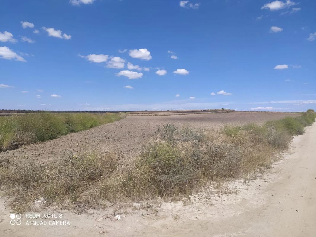Terreno en venta en Torrejón de Velasco, Madrid photo 3