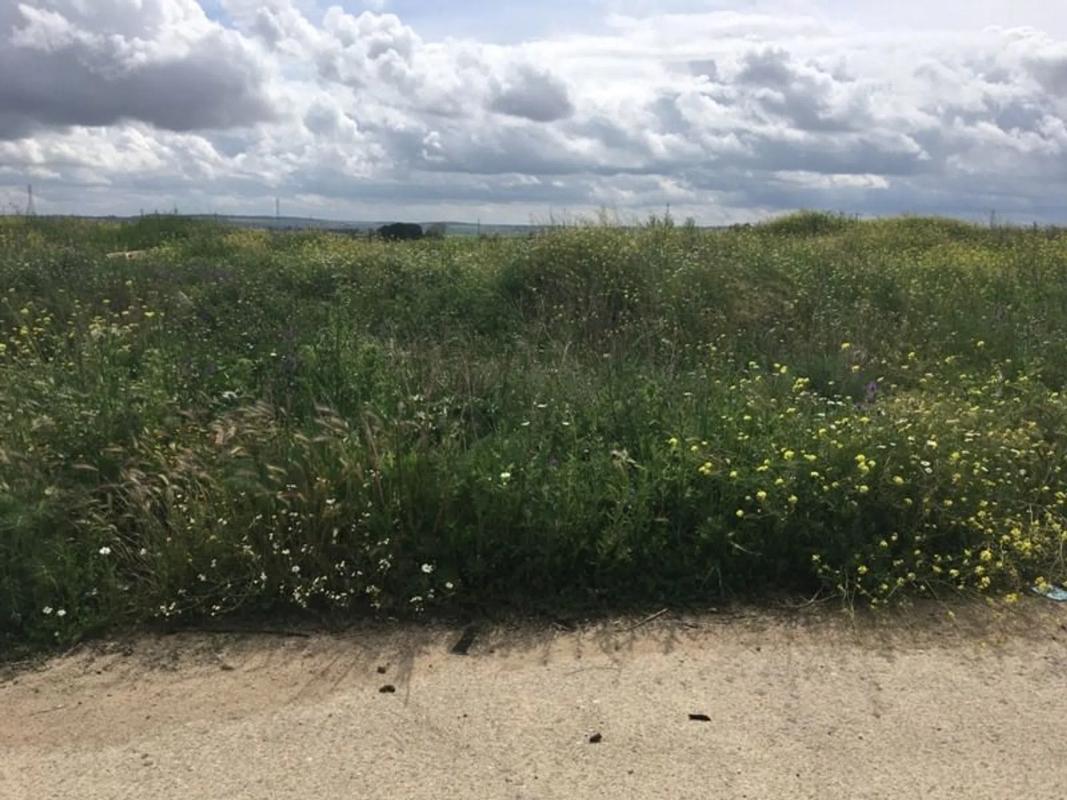 Land for sale in Torrejón de la Calzada, Madrid photo 4