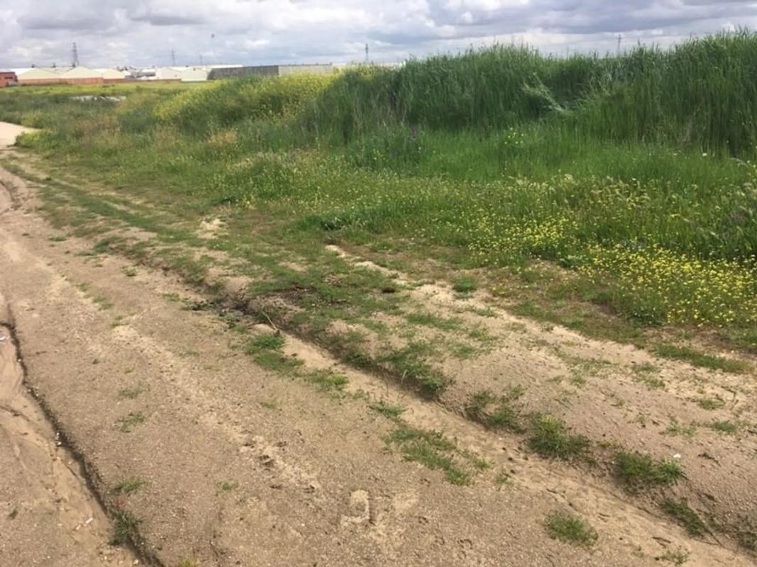 Działka na sprzedaż w Torrejón de la Calzada, Madryt photo 4