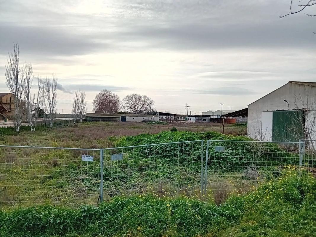 Terreno en venta en Torrejón de la Calzada, Madrid photo 3