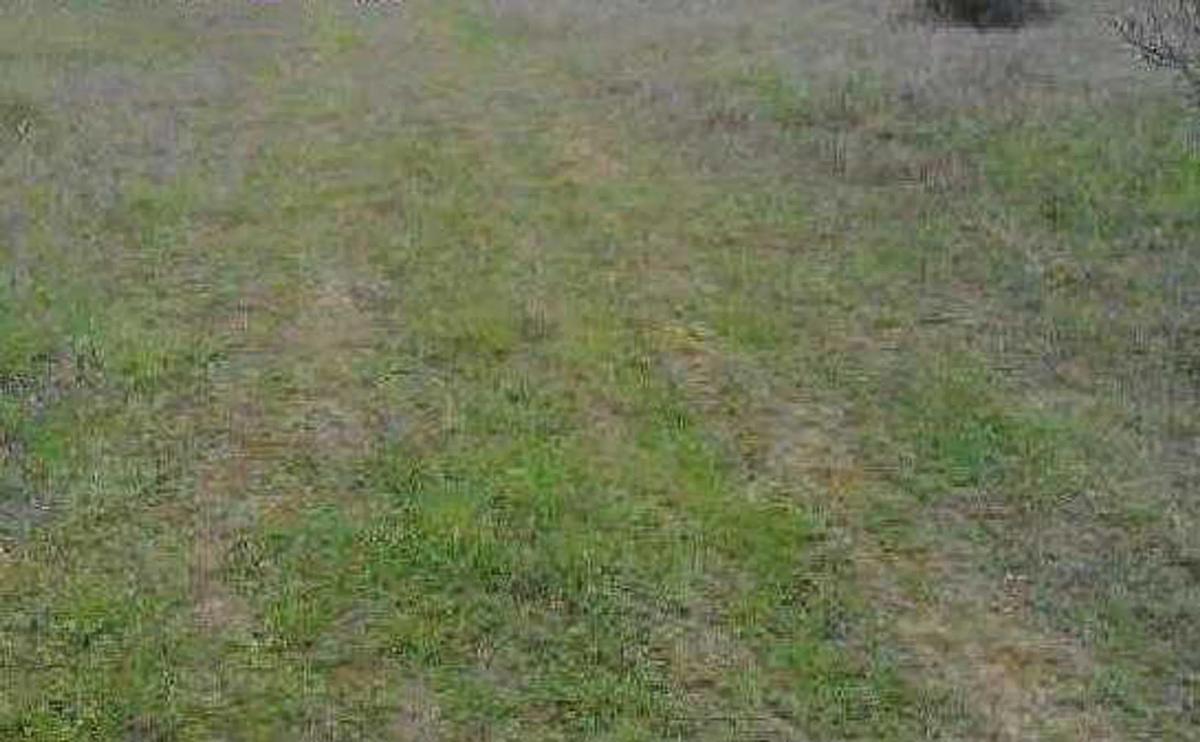 Terreno en venta en Valdemoro, Madrid photo 1