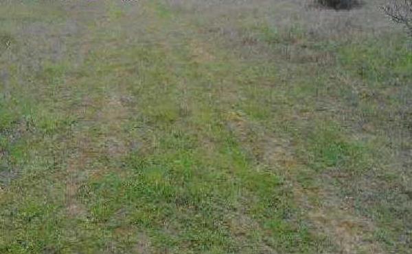 Terreno en paseo del Prado, 1 photo 1