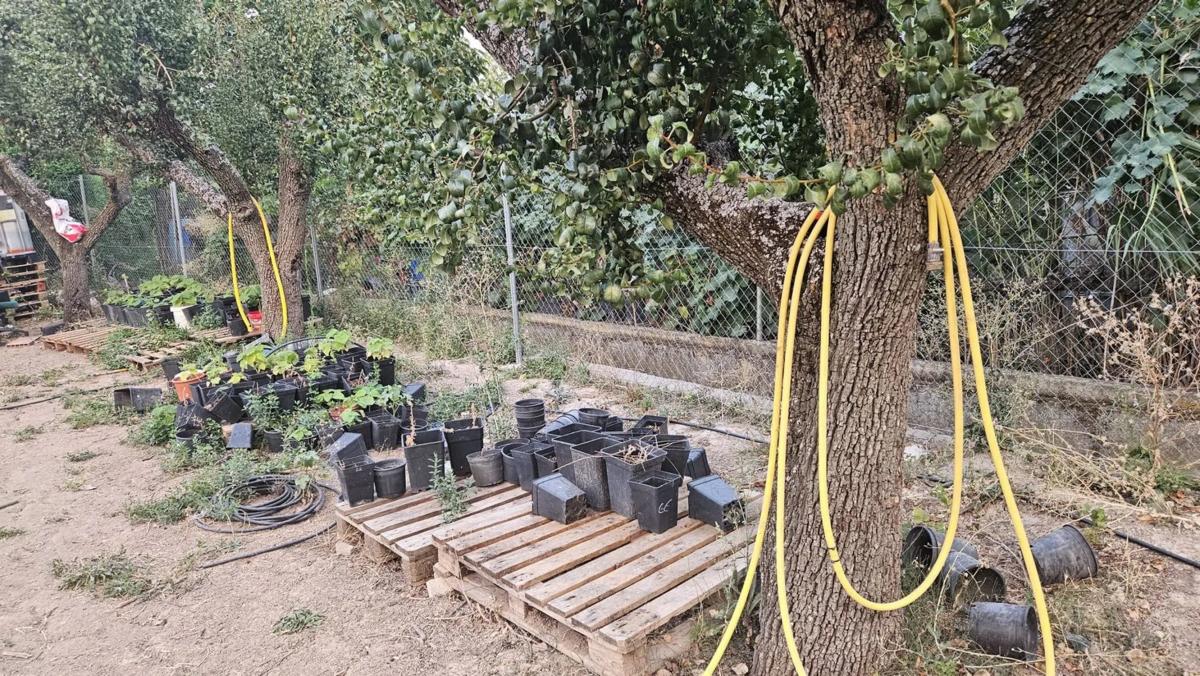 Terreno en venta en Estremera, Madrid photo 4