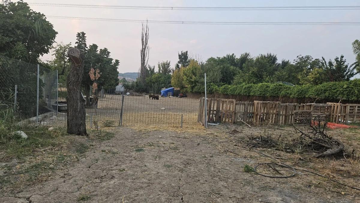 Terreno en venta en Estremera, Madrid photo 5