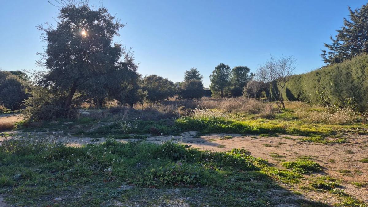 Terreno en venta en Eurovillas, Madrid photo 2
