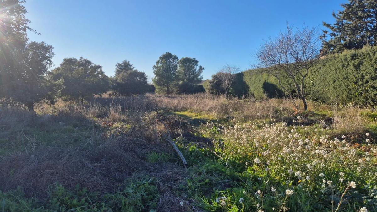 Terreno en venta en Eurovillas, Madrid photo 5