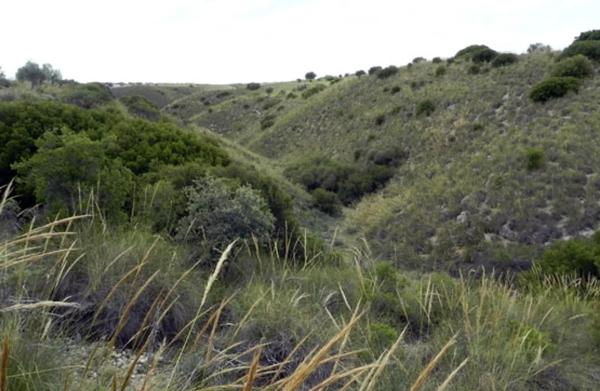 Terreno en Las cabezas s/n photo 2