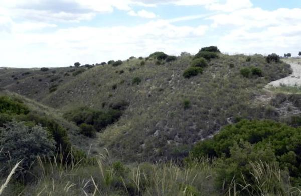 Terreno en Las cabezas s/n photo 3