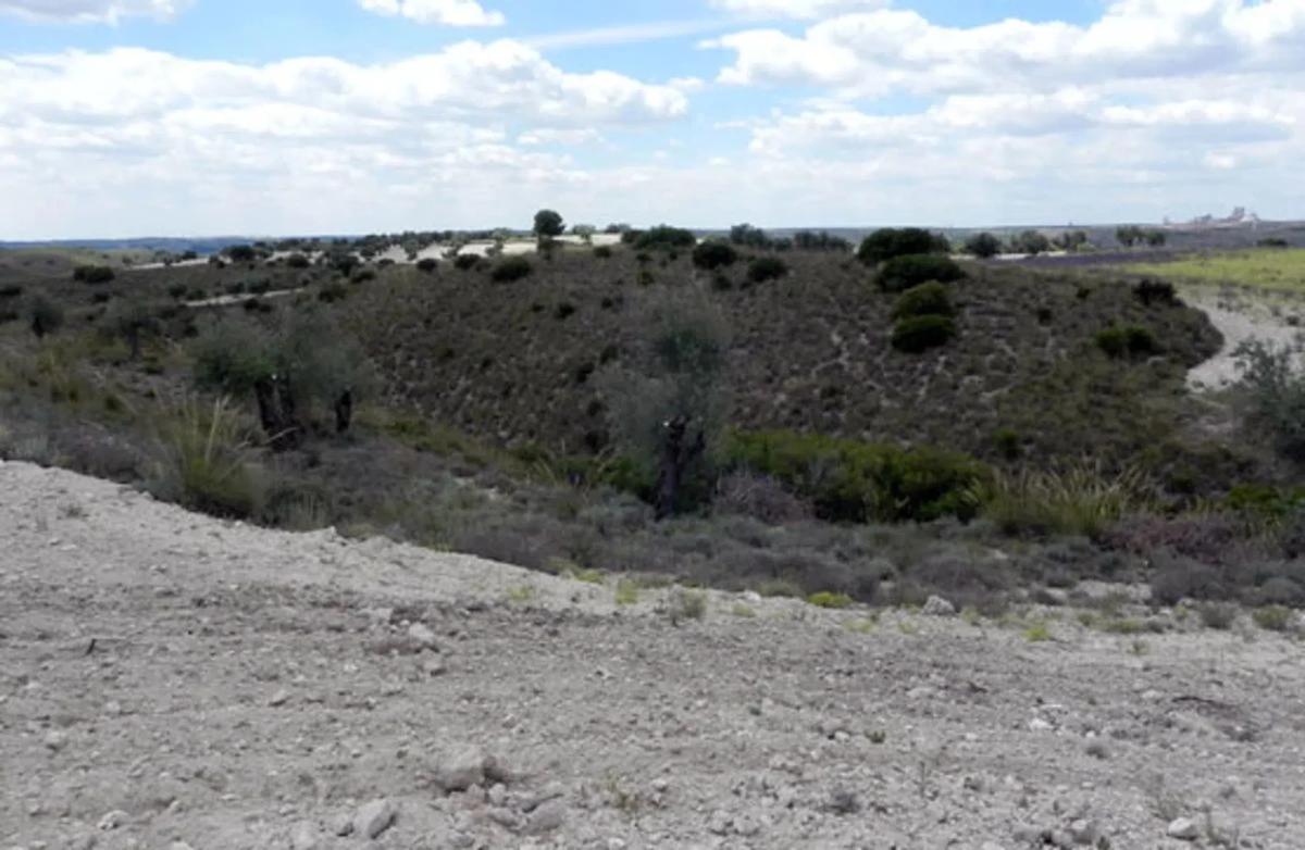 Terreno en venta en Morata de Tajuña, Madrid photo 5