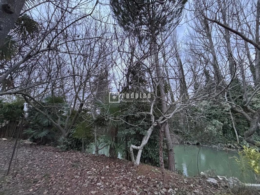 Terreno en venta en Perales de Tajuña, Madrid photo 3