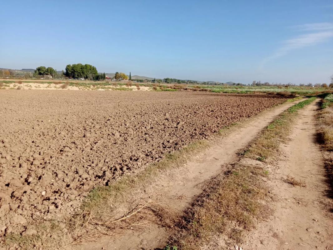 Terreno en venta en Chinchón, Madrid photo 2
