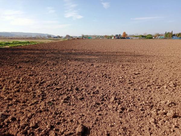 Terreno en via Sin Nombre, km 13 photo 4
