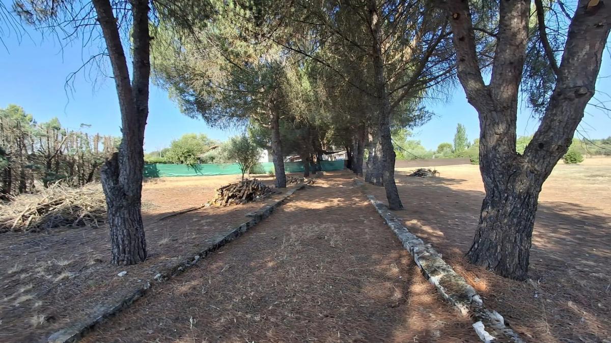 Terreno en venta en Nuevo Baztan, Madrid photo 2