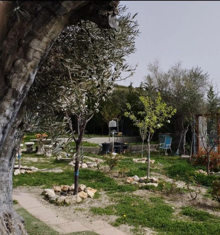 Land for sale in Campo Real, Madrid photo 3