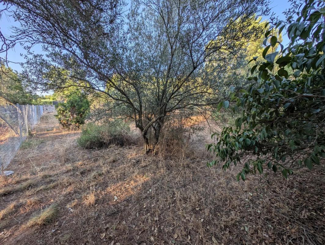 Terreno en venta en Eurovillas, Madrid photo 1