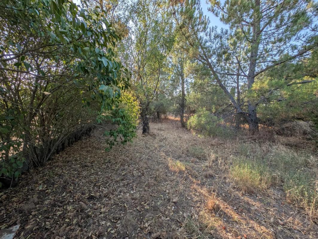 Terreno en venta en Eurovillas, Madrid photo 5