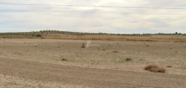 Terreno en Villaconejos photo 2
