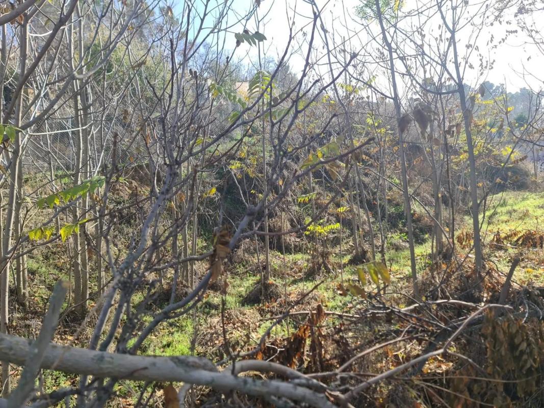 Terreno en venta en Valdelaguna, Madrid photo 4