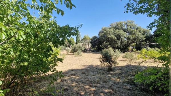 Terreno en avenida De Roma, 70 thumbnail 2