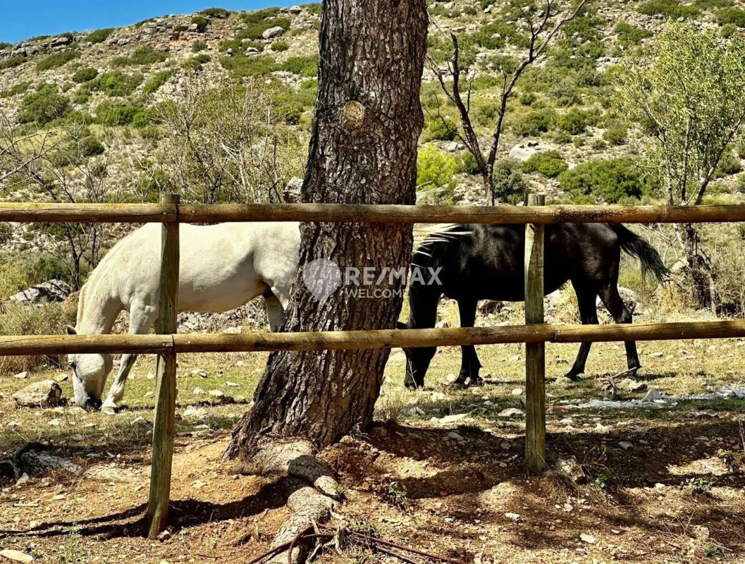 Land for sale in Ambite, Madrid photo 2