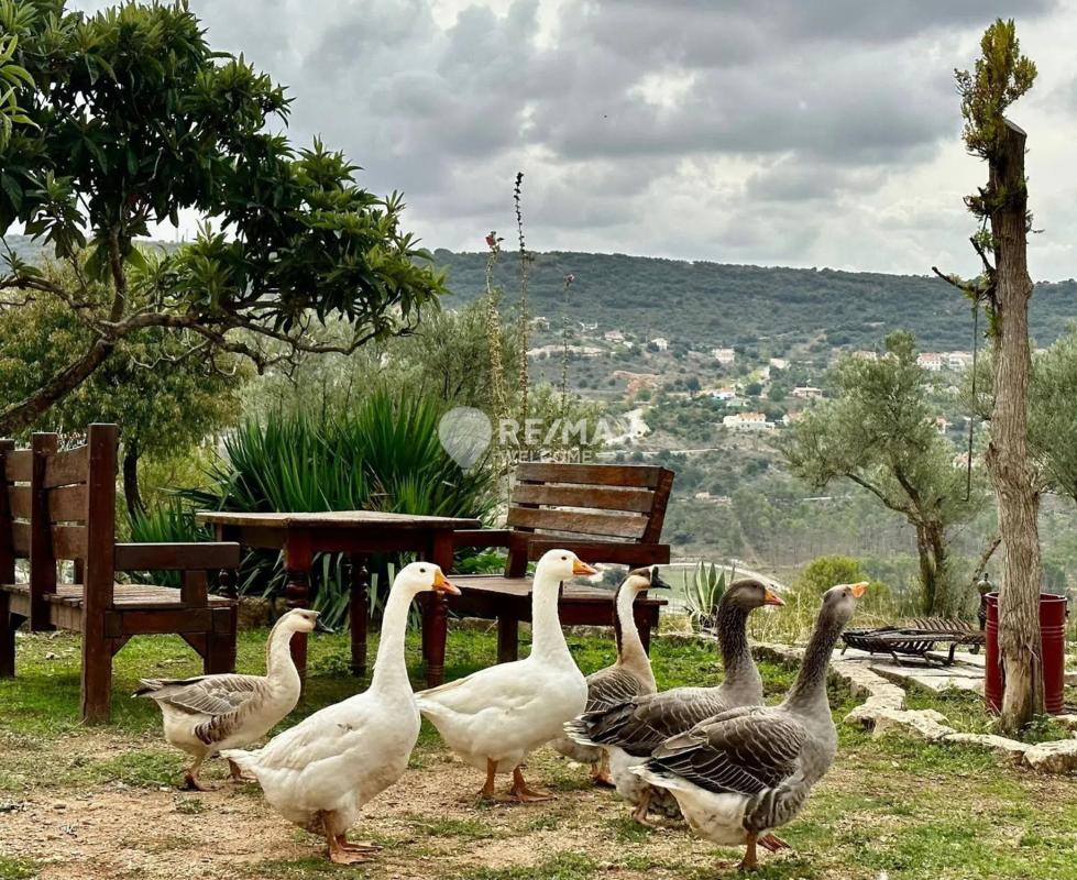 Land for sale in Ambite, Madrid photo 3