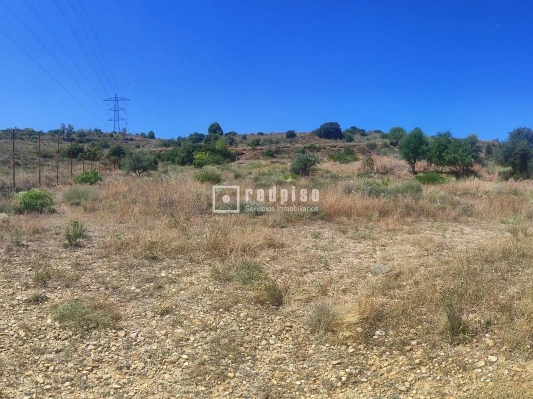 Terreno en venta en Arganda, Madrid photo 3