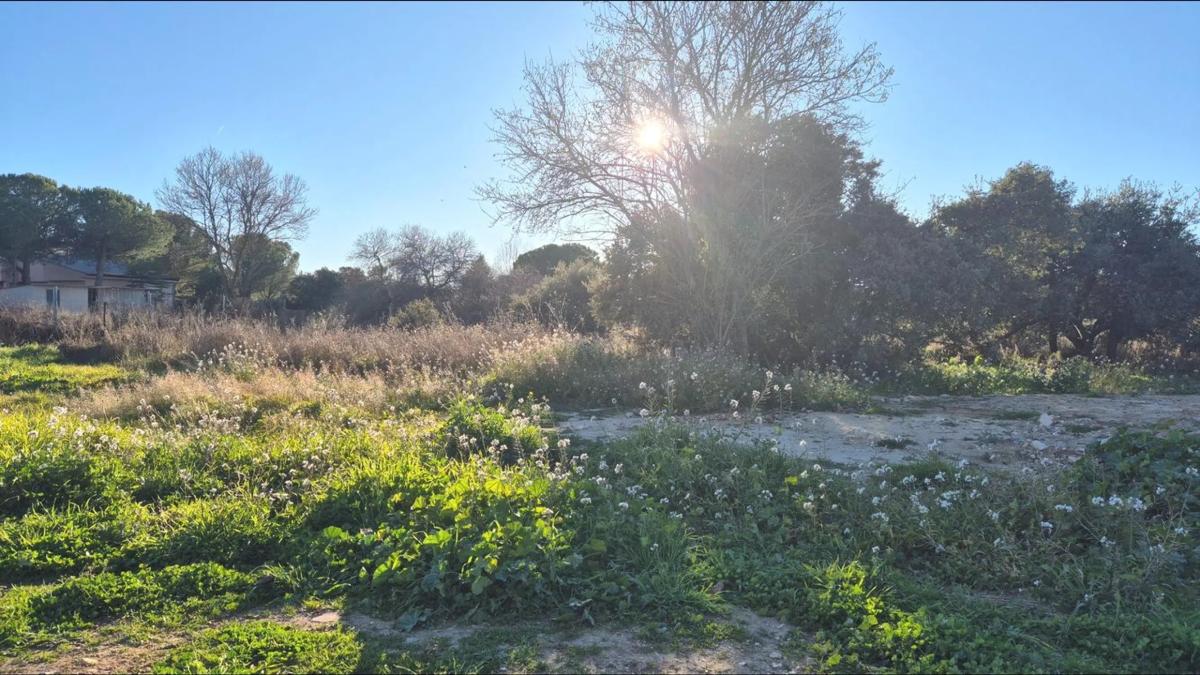 Terreno en venta en Eurovillas, Madrid photo 5