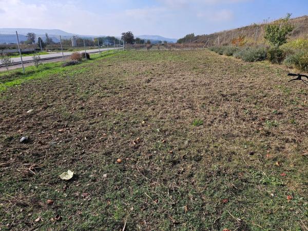 Terreno en m-320 s/n photo 1